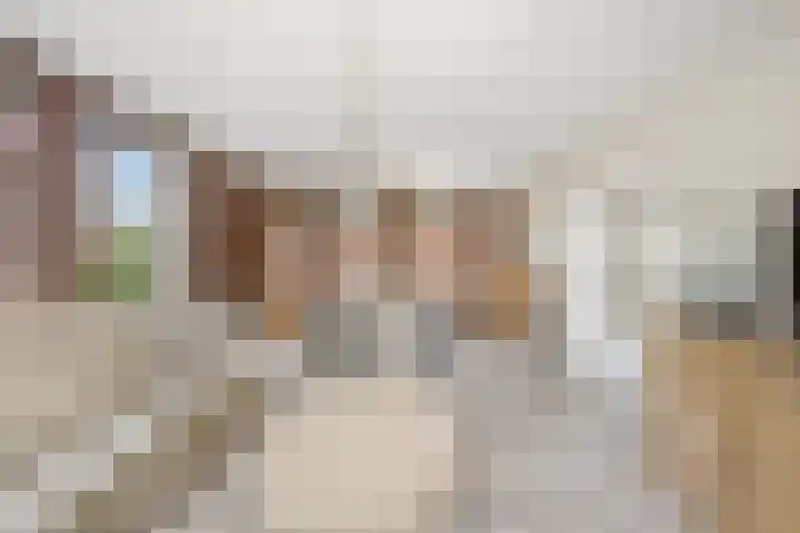Hoogveldscheweg 1 b Velp thumbnail 6