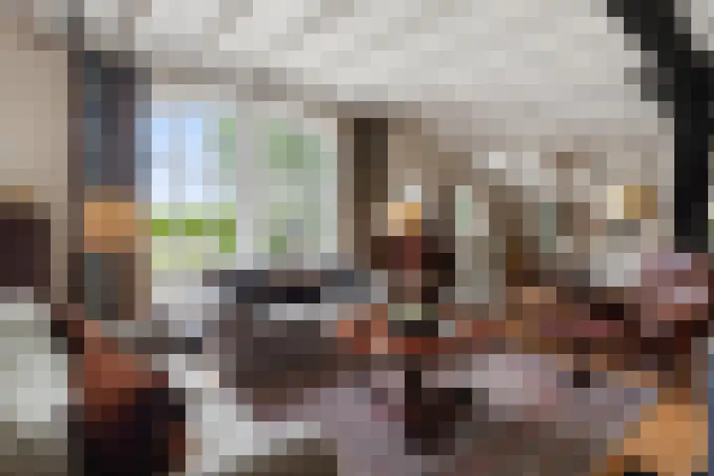 Hoogveldsestraat 4 Horssen thumbnail 12