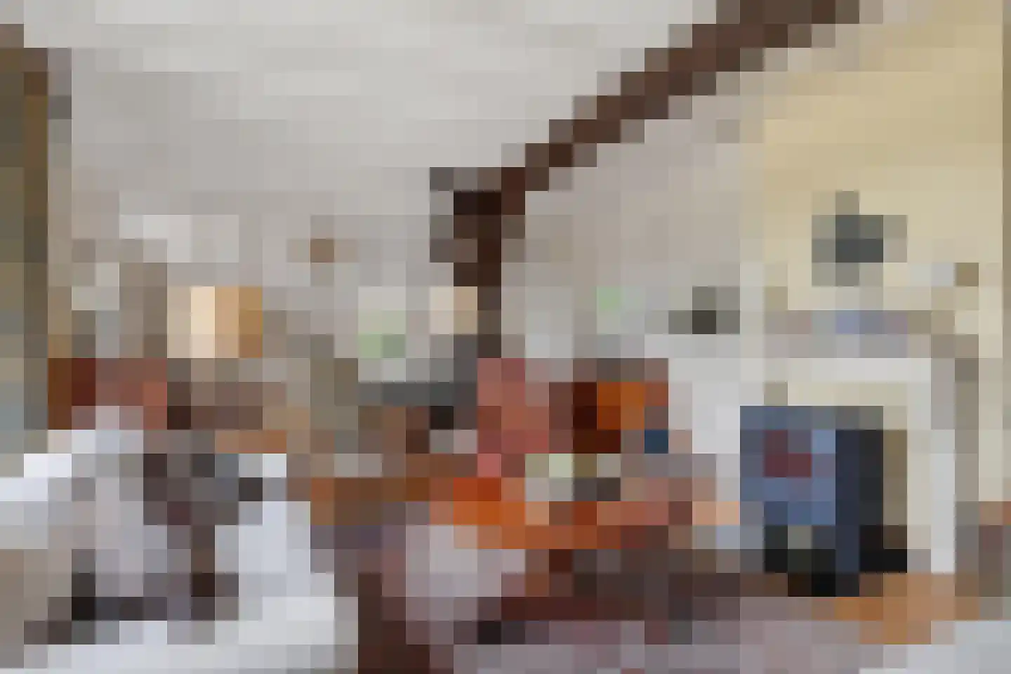 Hoogveldsestraat 4 Horssen thumbnail 13