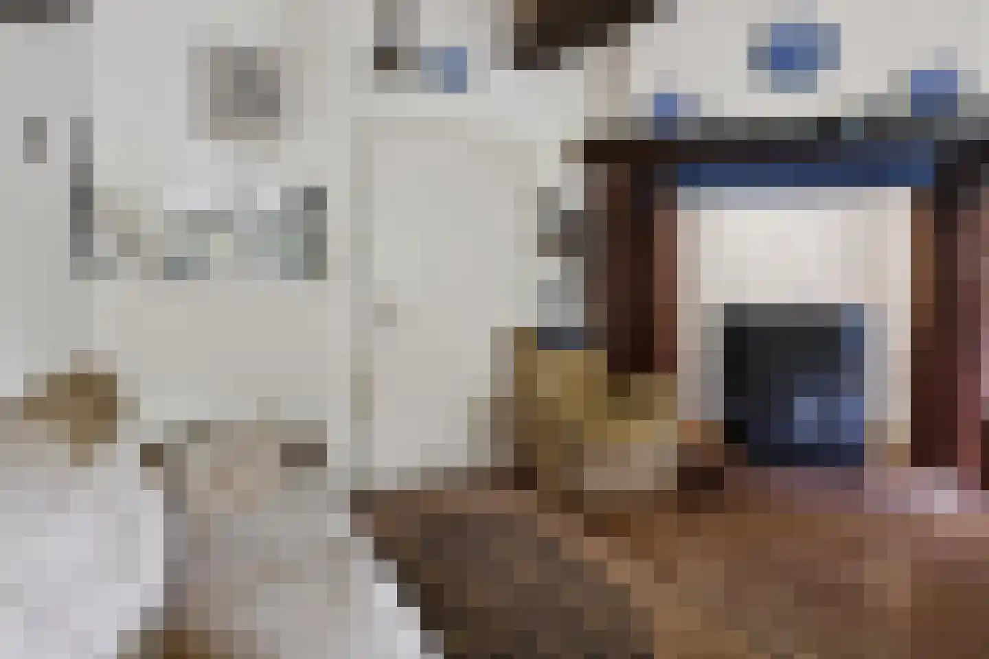 Hoogveldsestraat 4 Horssen thumbnail 15