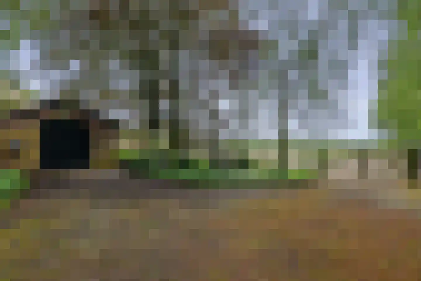 Hoogveldsestraat 4 Horssen thumbnail 21