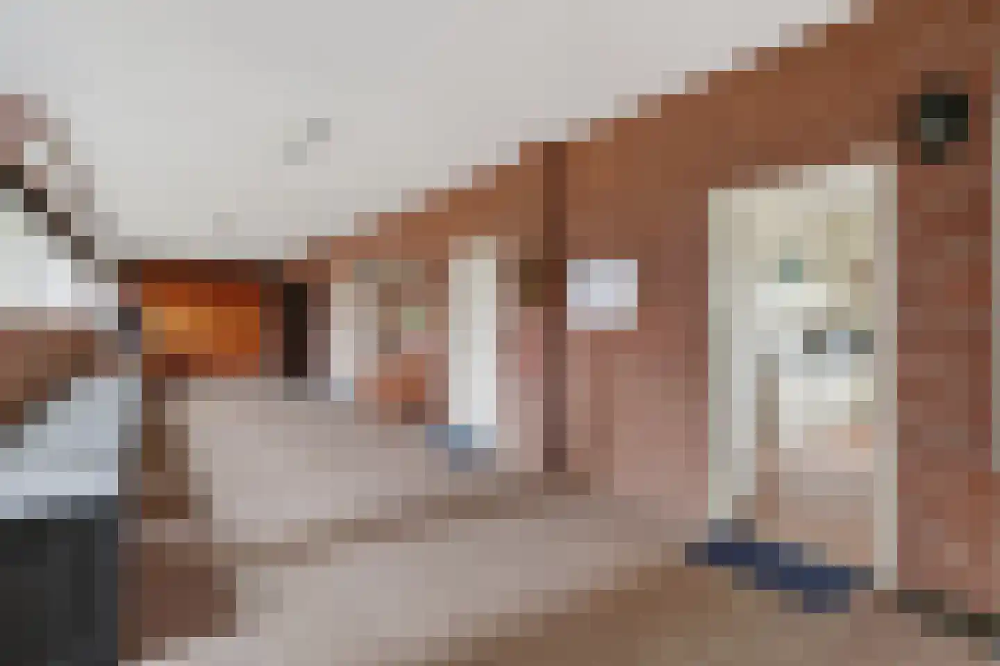 Hoogveldsestraat 4 Horssen thumbnail 25