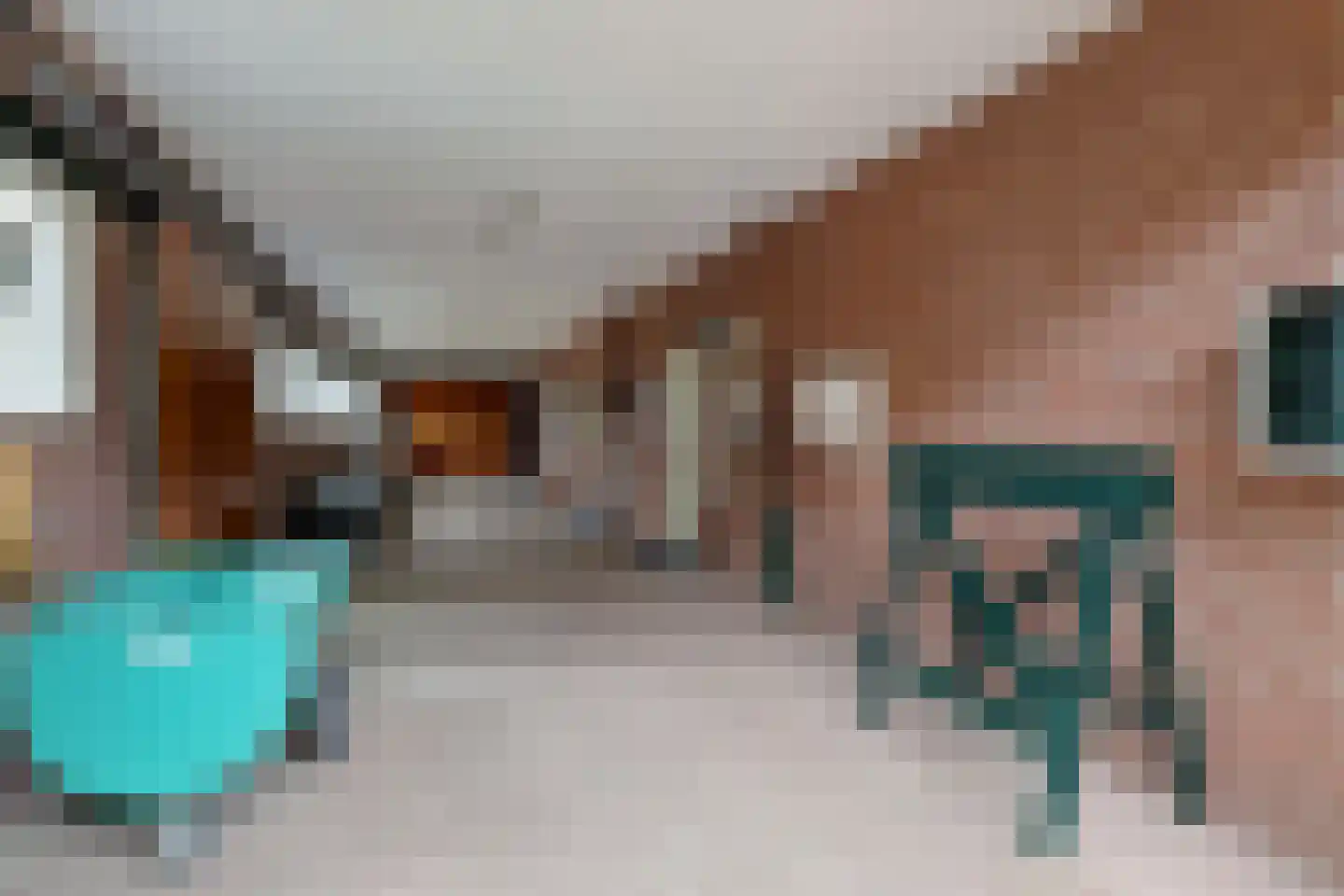 Hoogveldsestraat 4 Horssen thumbnail 26