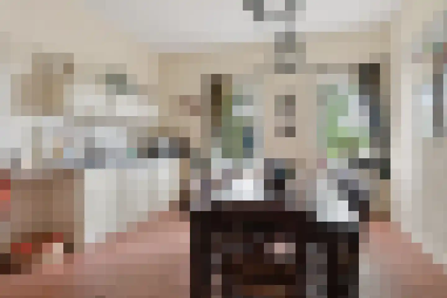 Hoogveldsestraat 4 Horssen thumbnail 29