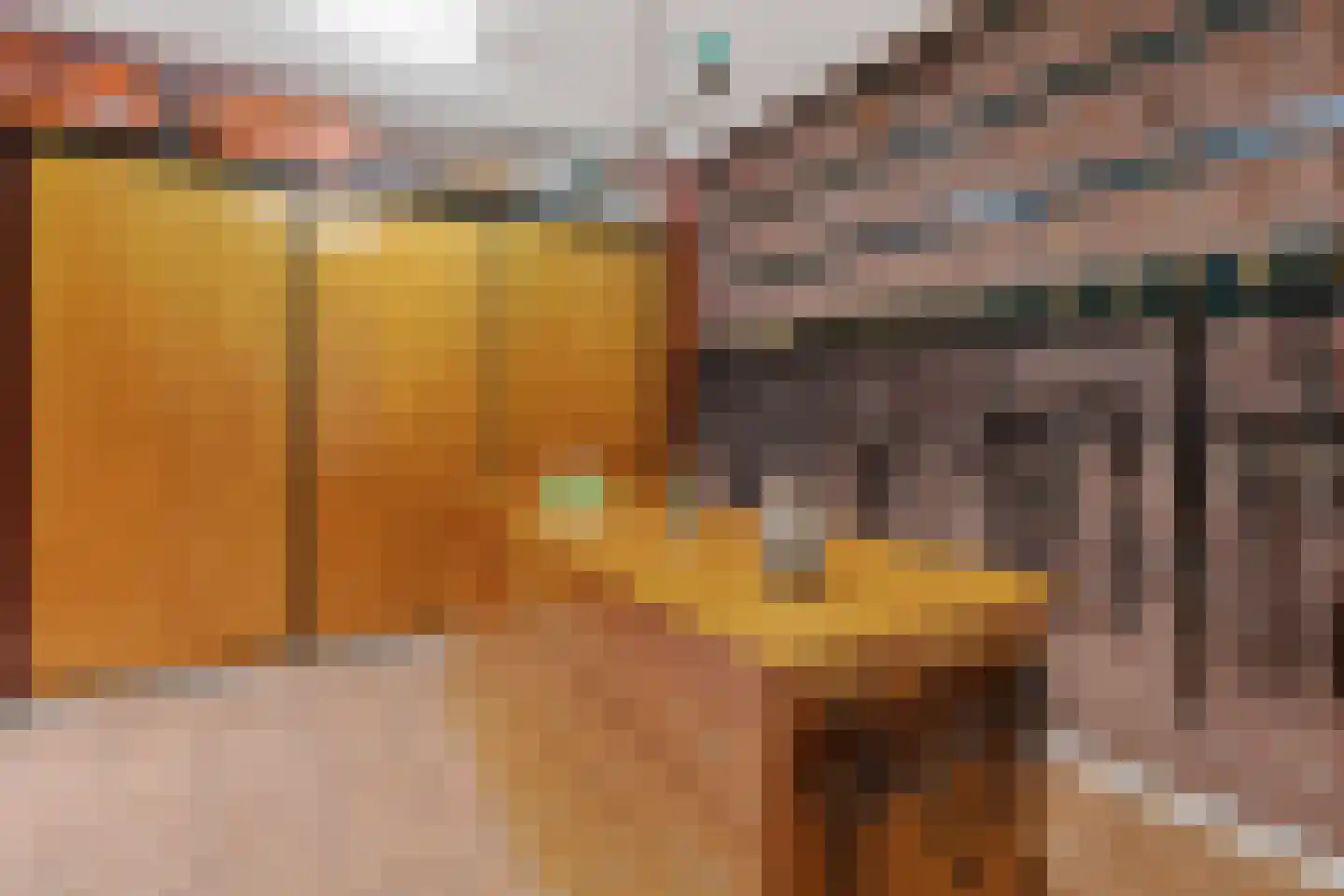 Hoogveldsestraat 4 Horssen thumbnail 34