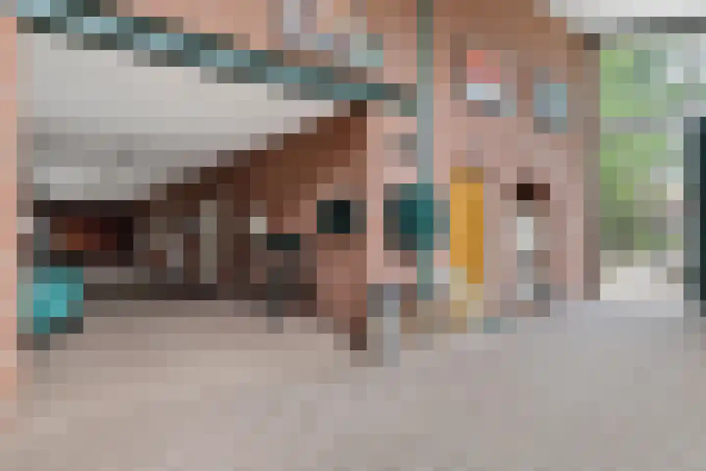 Hoogveldsestraat 4 Horssen thumbnail 35