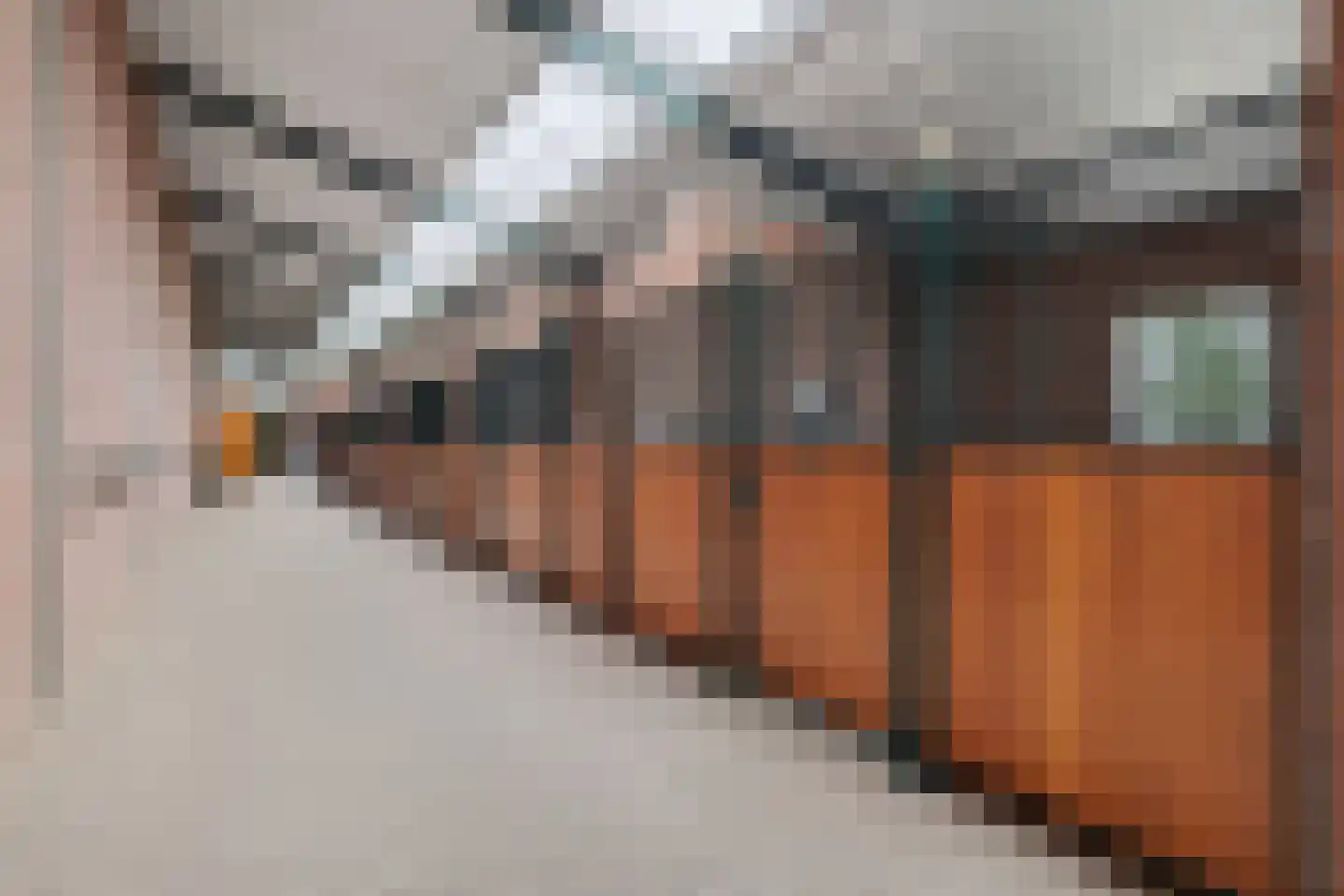 Hoogveldsestraat 4 Horssen thumbnail 37