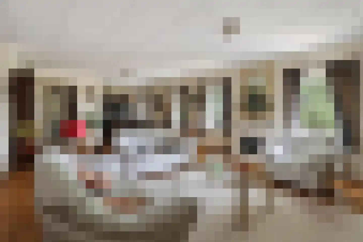 Hoogveldsestraat 4 Horssen thumbnail 38