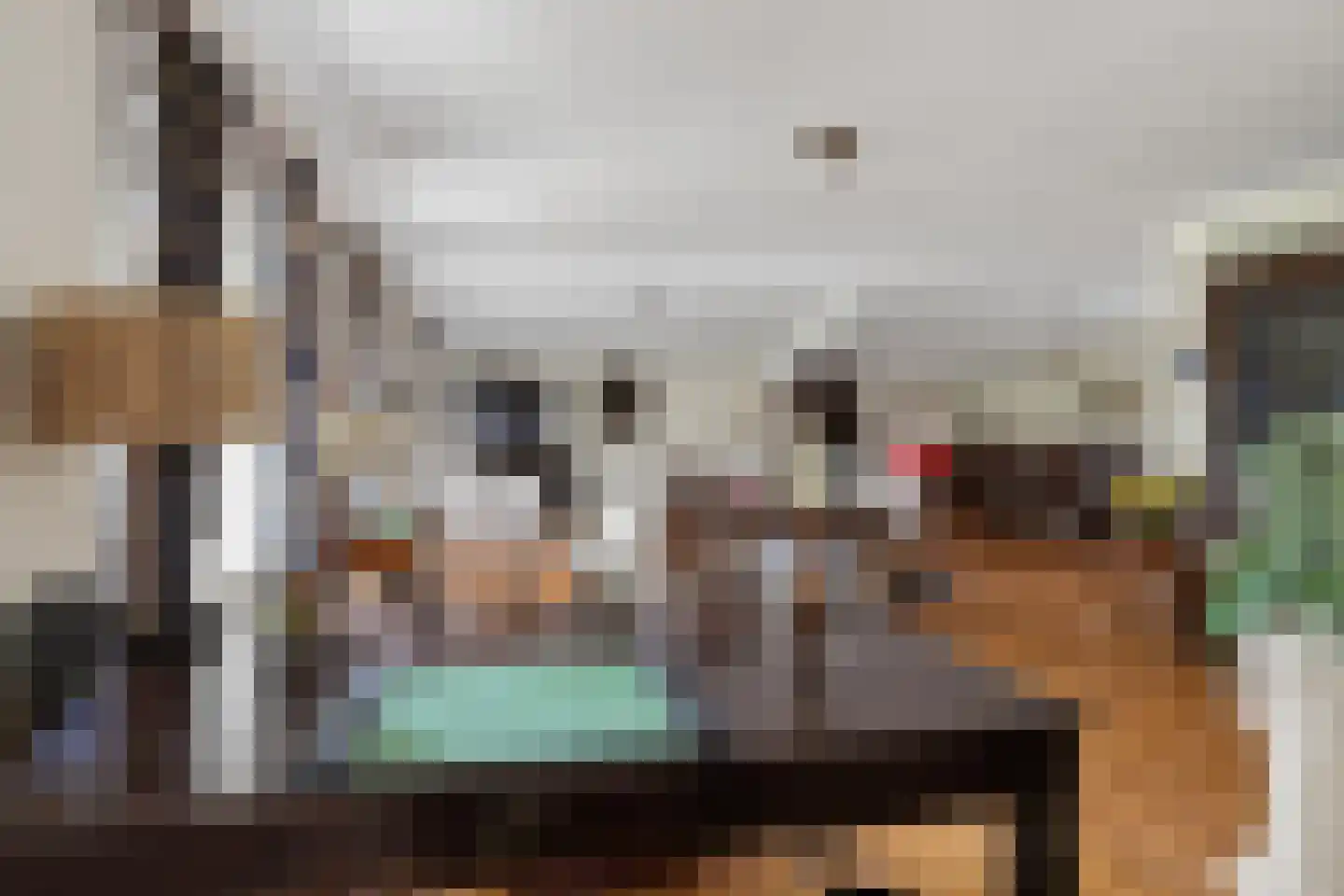 Hoogveldsestraat 4 Horssen thumbnail 39