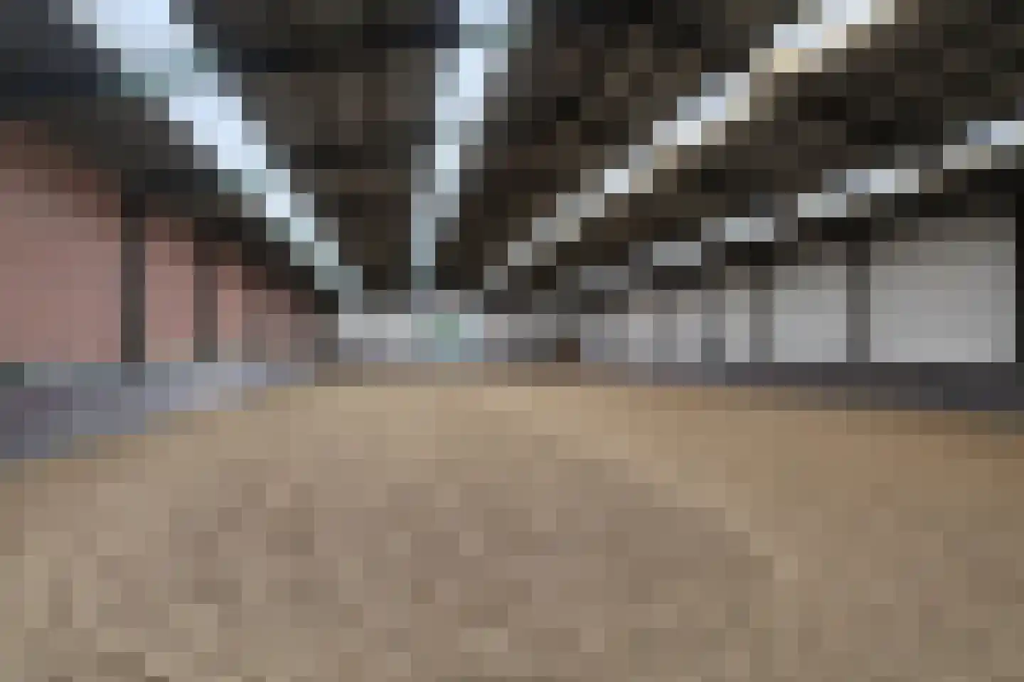Hoogveldsestraat 4 Horssen thumbnail 4