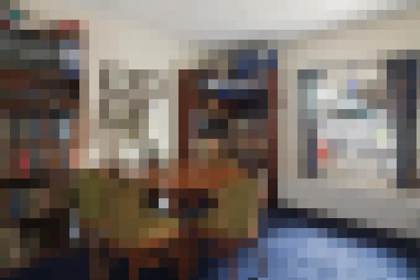 Hoogveldsestraat 4 Horssen thumbnail 43