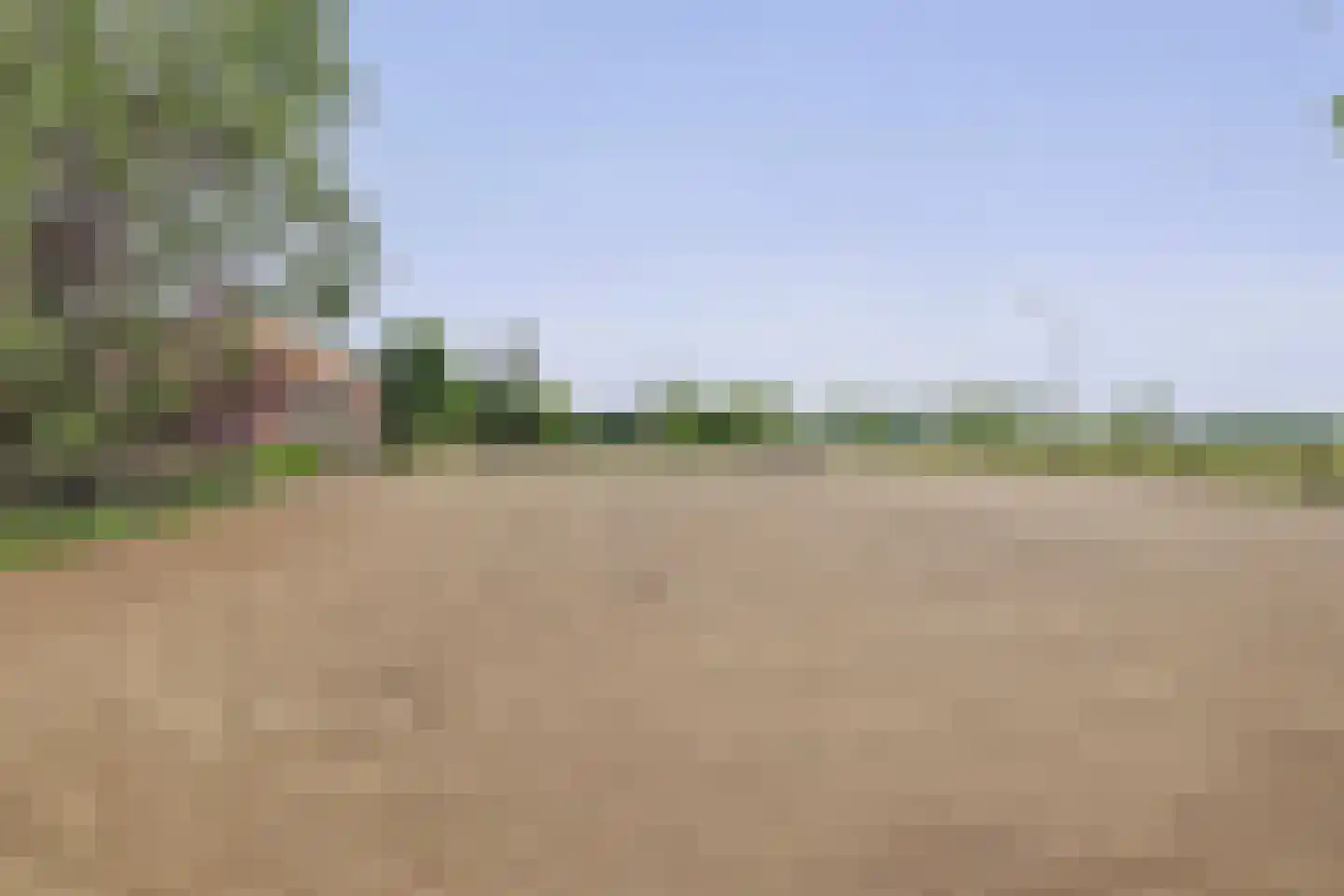 Hoogveldsestraat 4 Horssen thumbnail 47