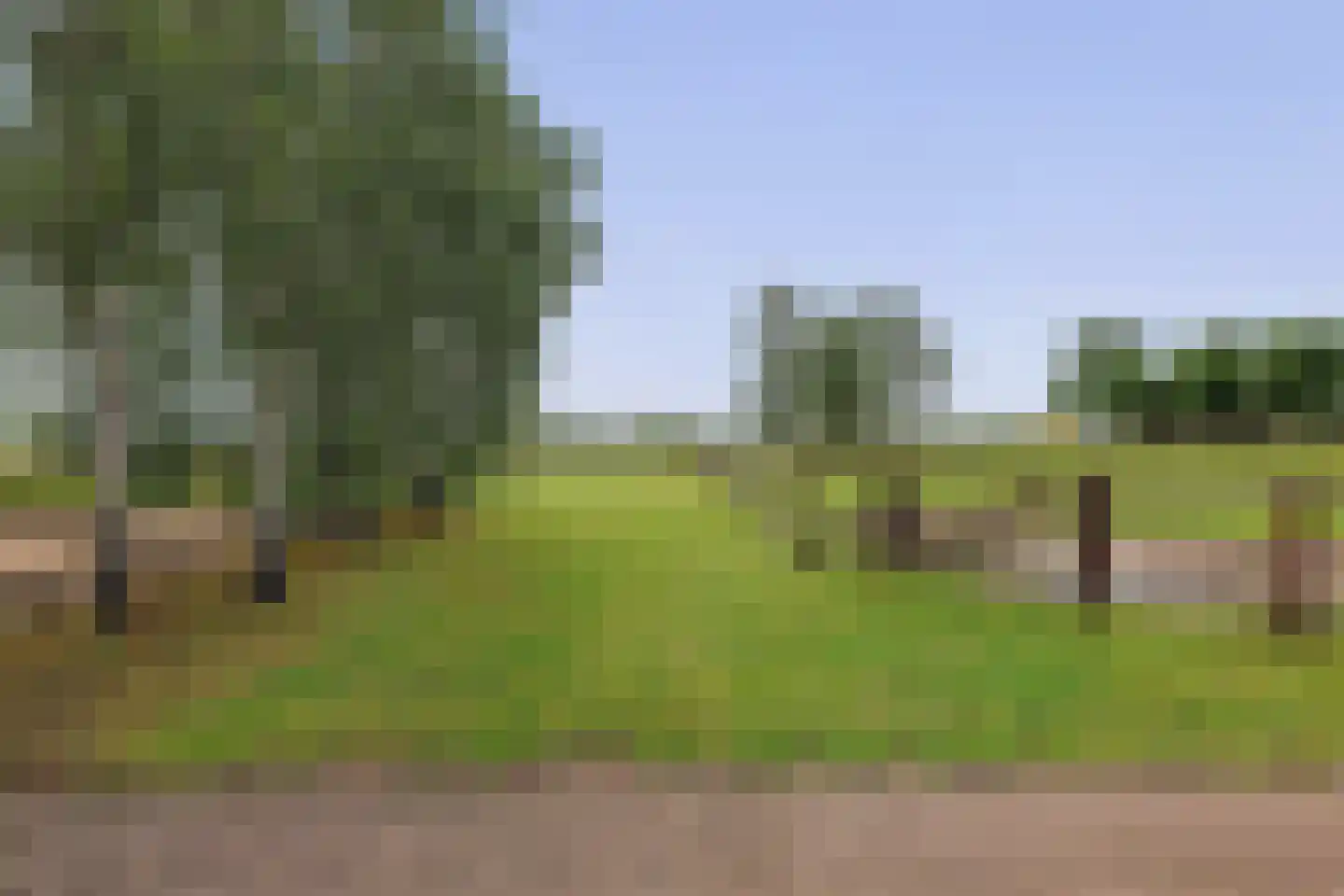 Hoogveldsestraat 4 Horssen thumbnail 48
