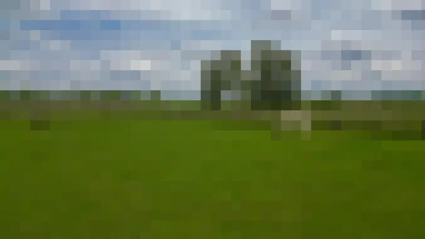 Hoogveldsestraat 4 Horssen thumbnail 50
