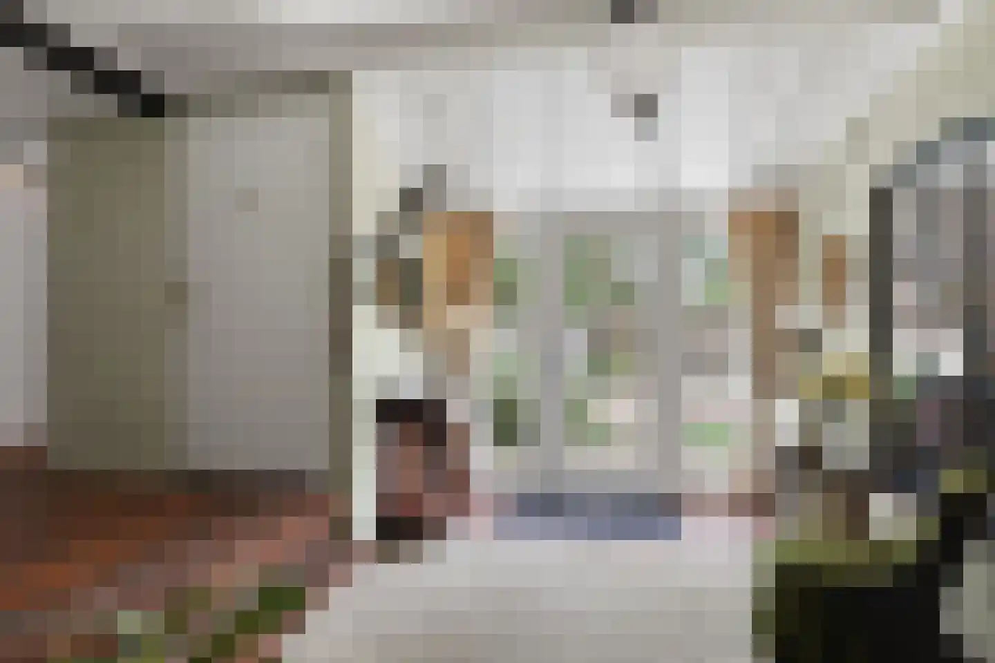 Hoogveldsestraat 4 Horssen thumbnail 8