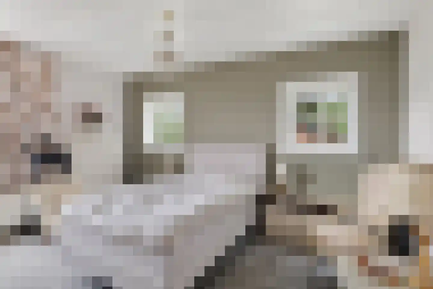 Hoogveldsestraat 4 Horssen thumbnail 9