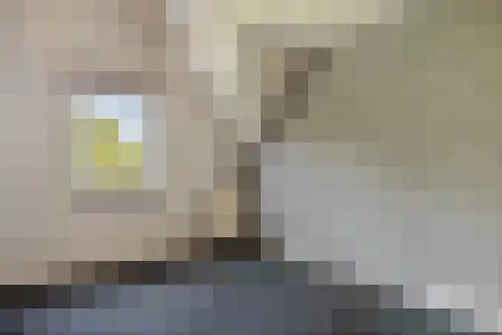 Hoogveldseweg 27 a Mill thumbnail 32