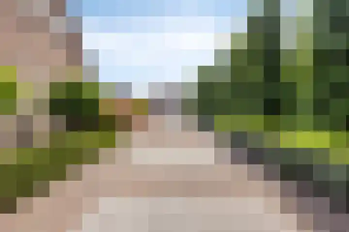 Hoogveldseweg 27 a Mill thumbnail 4