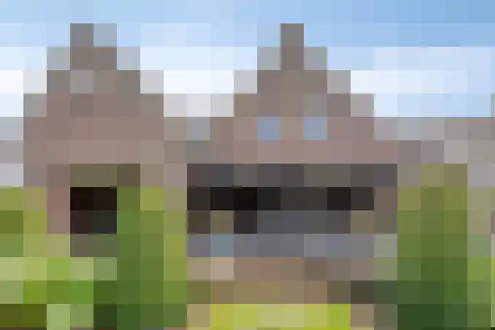 Hoogveldseweg 27 a Mill thumbnail 48