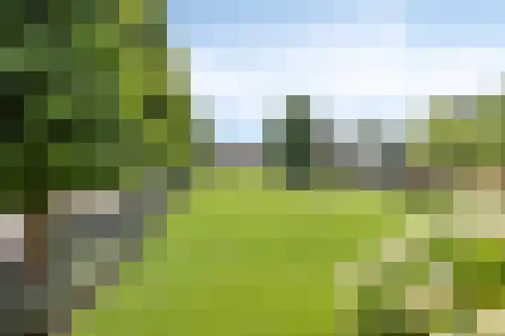 Hoogveldseweg 27 a Mill thumbnail 5