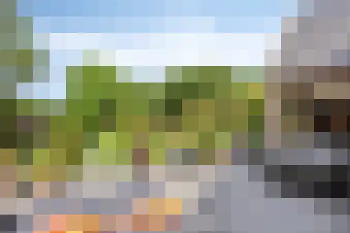 Hoogveldseweg 27 a Mill thumbnail 55