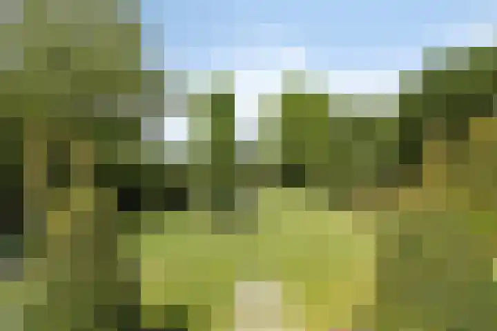 Hoogveldseweg 27 a Mill thumbnail 57