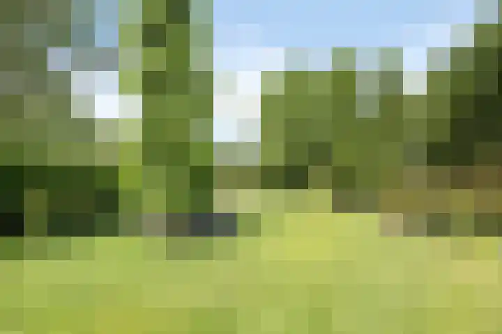 Hoogveldseweg 27 a Mill thumbnail 59