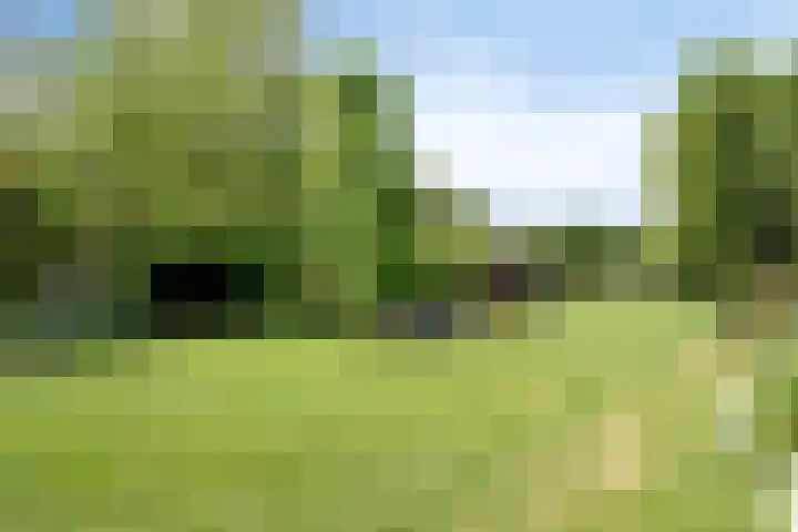 Hoogveldseweg 27 a Mill thumbnail 60
