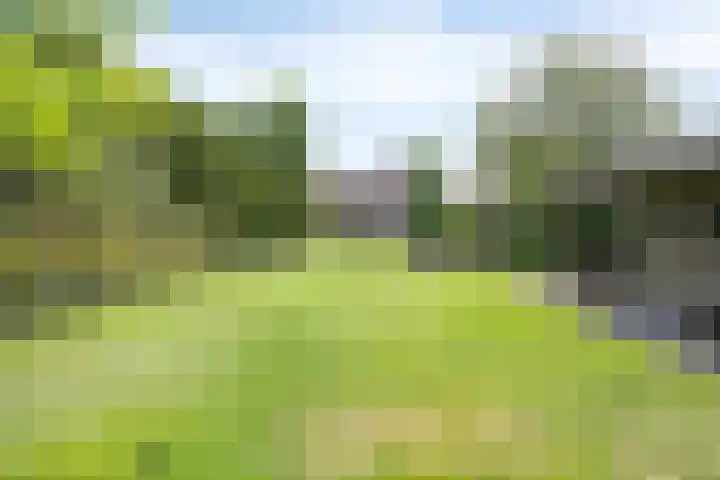 Hoogveldseweg 27 a Mill thumbnail 63