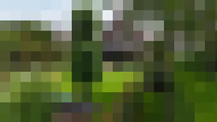 Hoogveldseweg 27 a Mill thumbnail 66