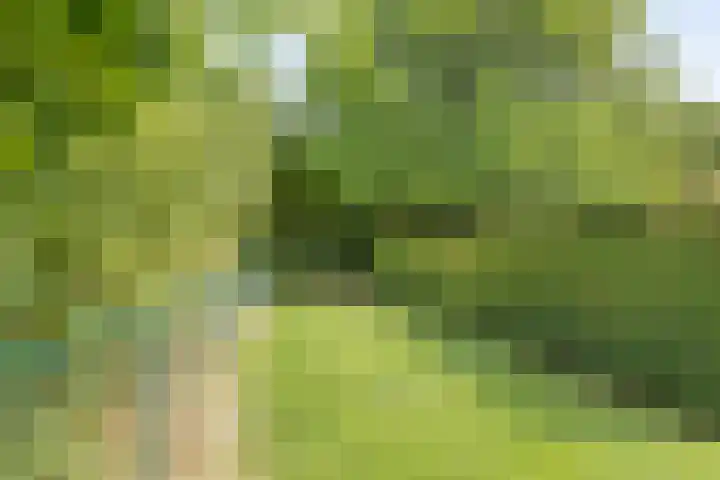 Hoogveldseweg 27 a Mill thumbnail 67