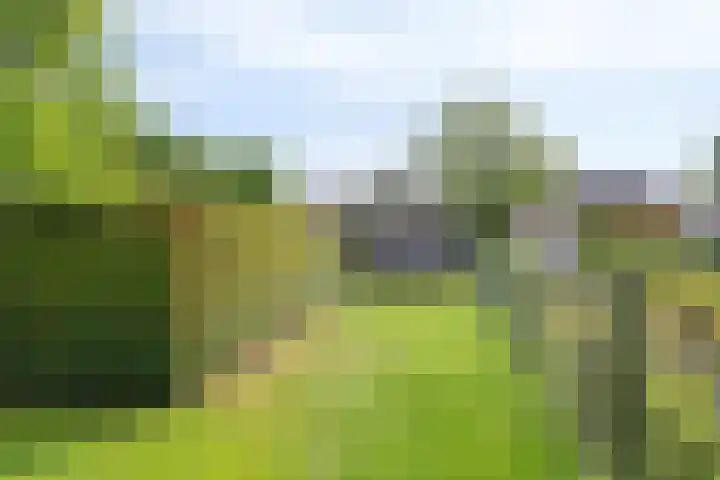 Hoogveldseweg 27 a Mill thumbnail 68