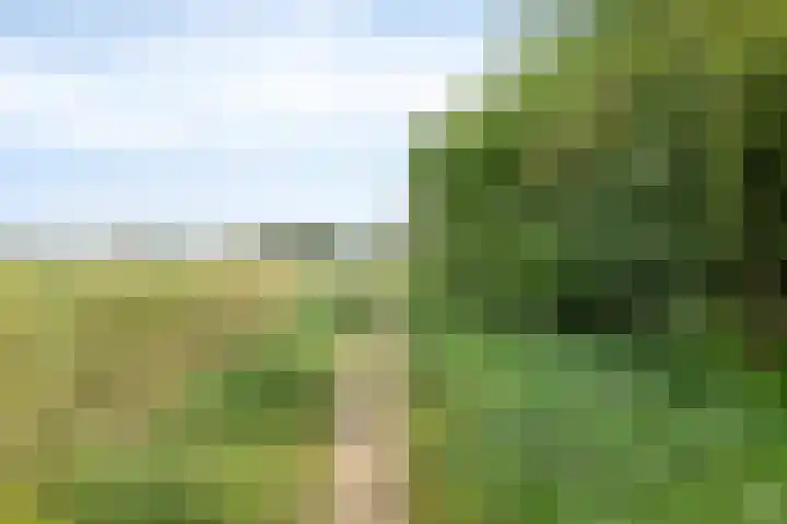 Hoogveldseweg 27 a Mill thumbnail 69