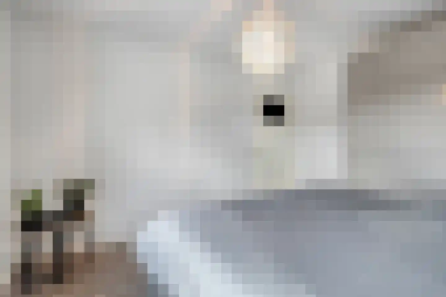 Hoogveldseweg 80 Mill thumbnail 10