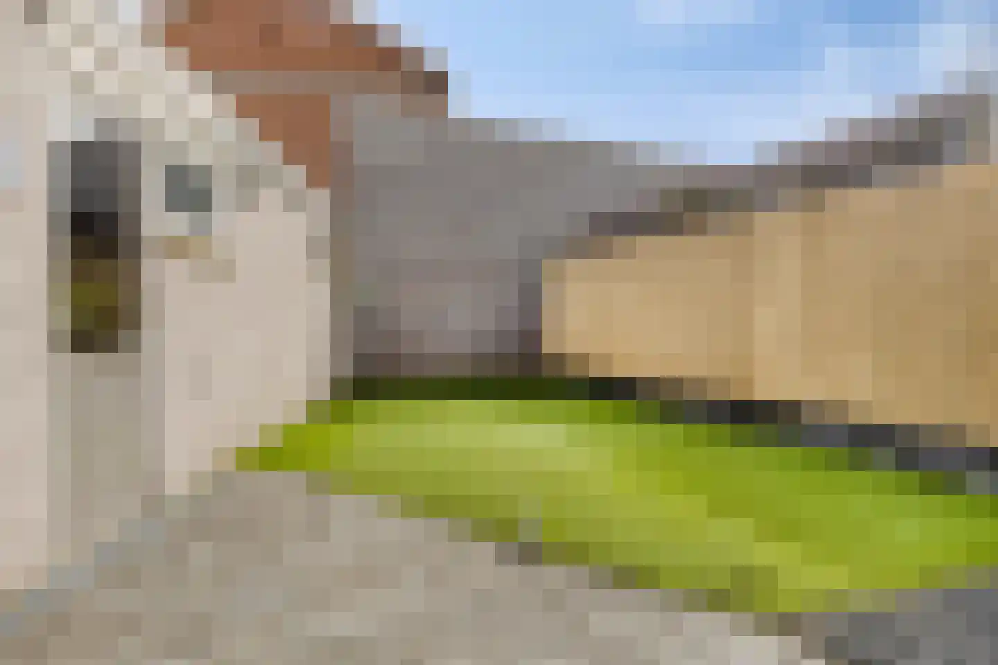 Hoogveldseweg 80 Mill thumbnail 22