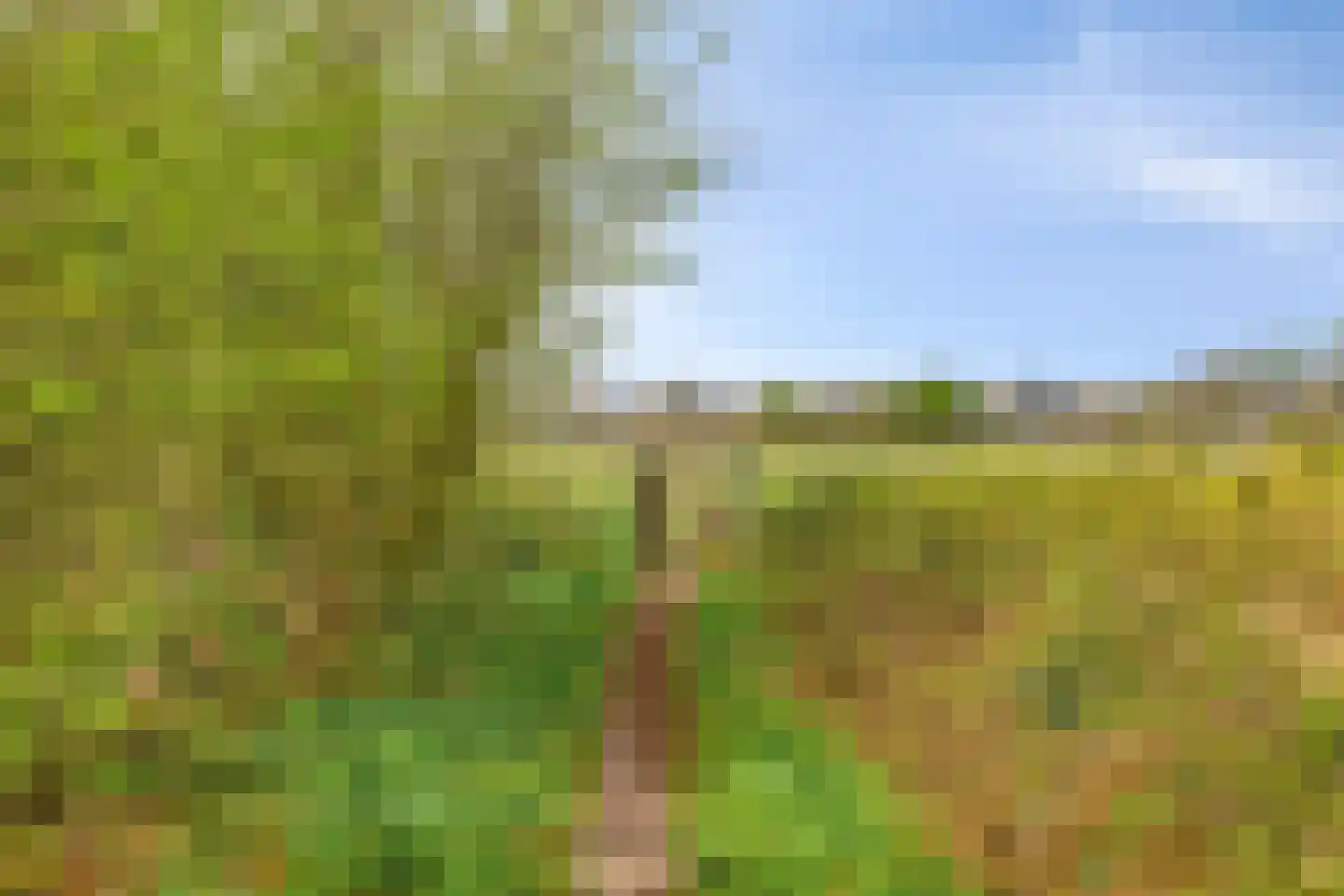 Hoogveldseweg 80 Mill thumbnail 27