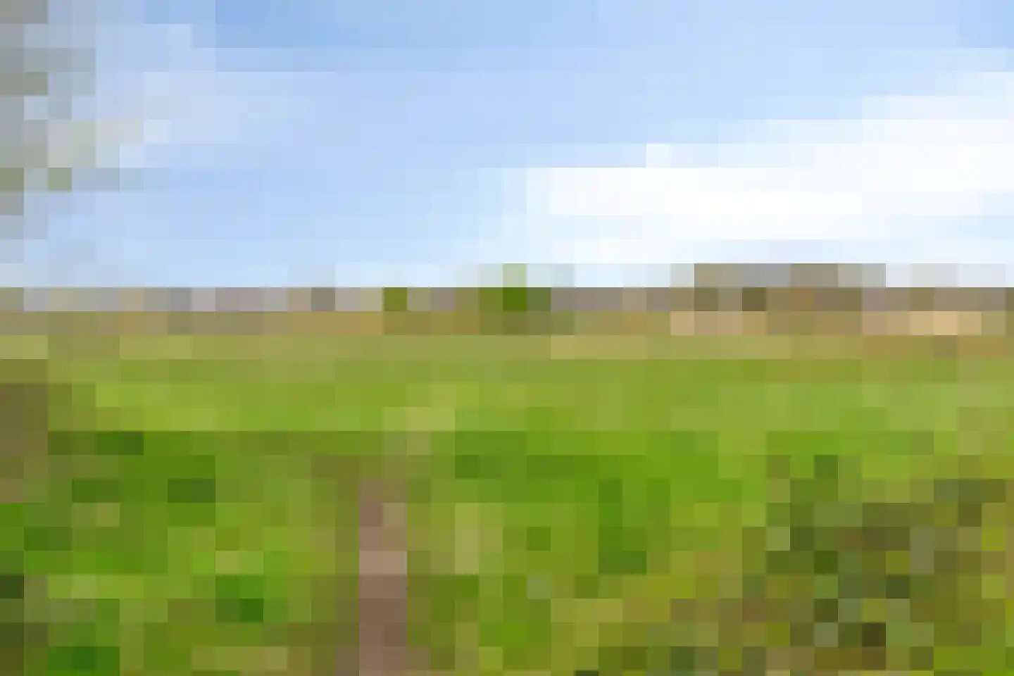 Hoogveldseweg 80 Mill thumbnail 28