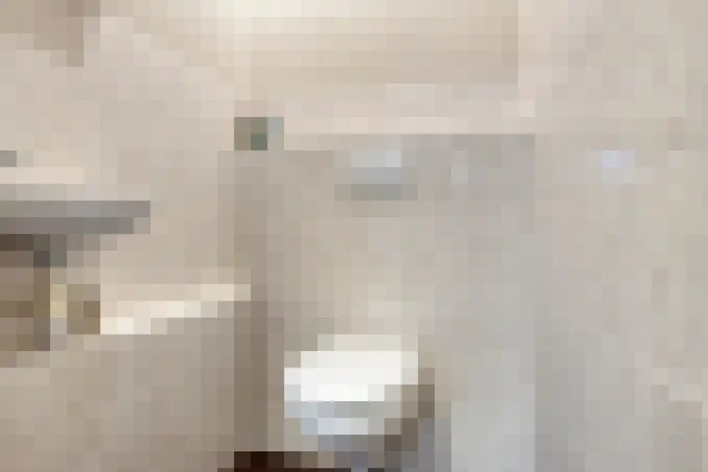 Hoogveldsweg 20 A Echt thumbnail 16