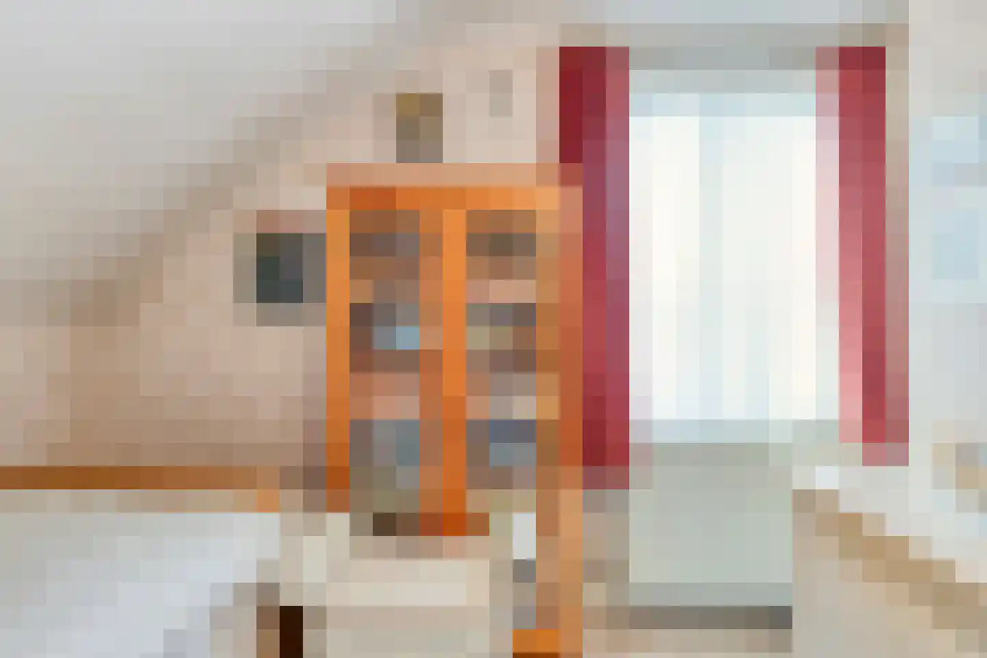 Hoogveldsweg 20 A Echt thumbnail 18
