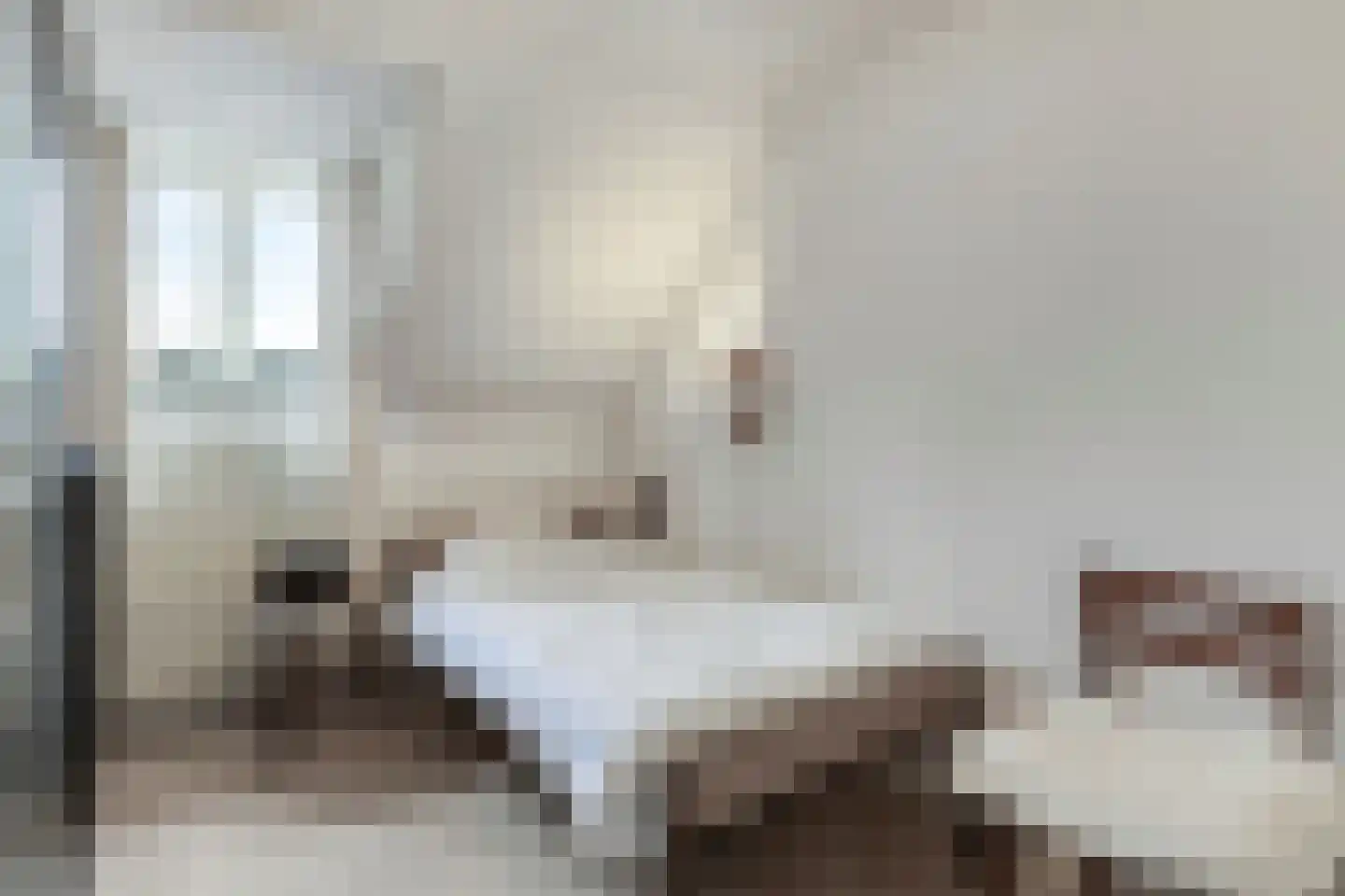 Hoogveldsweg 20 A Echt thumbnail 20