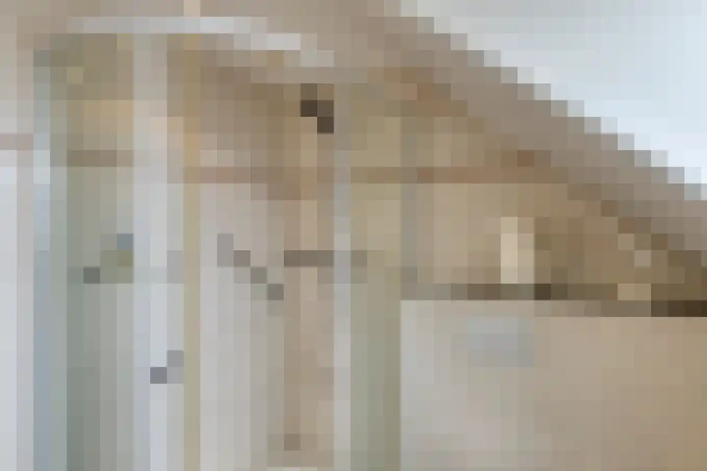 Hoogveldsweg 20 A Echt thumbnail 23