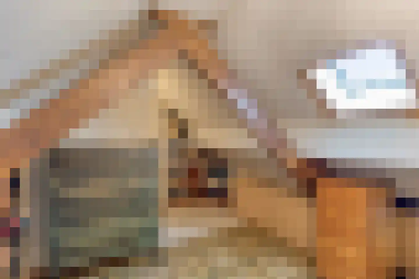 Hoogveldsweg 20 A Echt thumbnail 24