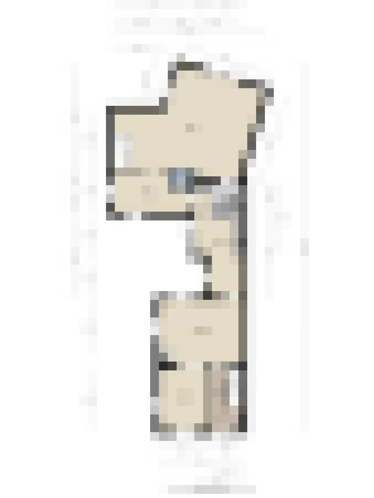 Hoogveldsweg 20 A Echt thumbnail 31