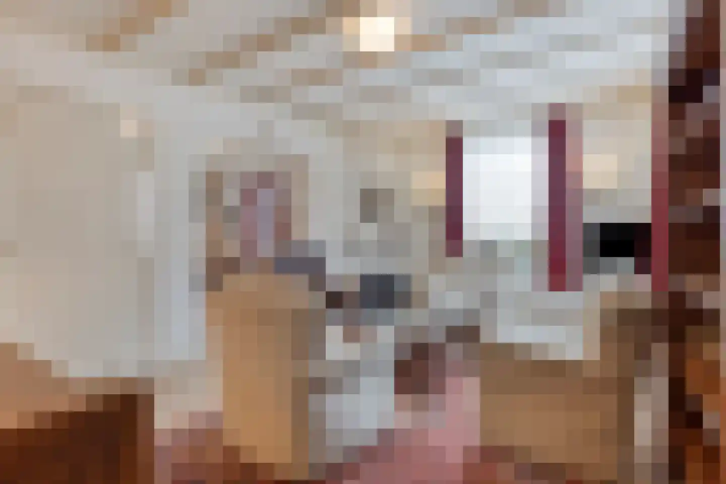 Hoogveldsweg 20 A Echt thumbnail 6