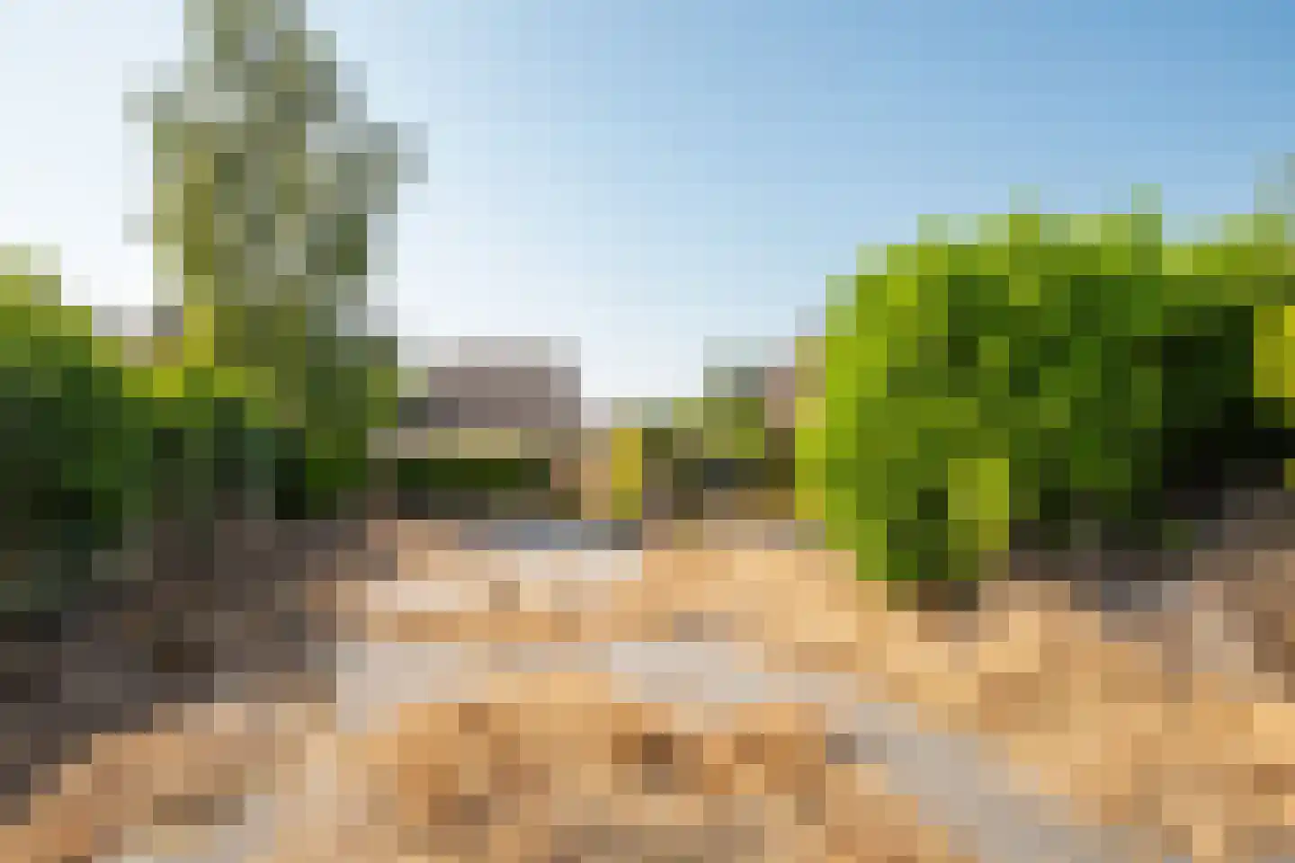 Hoogveldsweg 30 Echt thumbnail 23