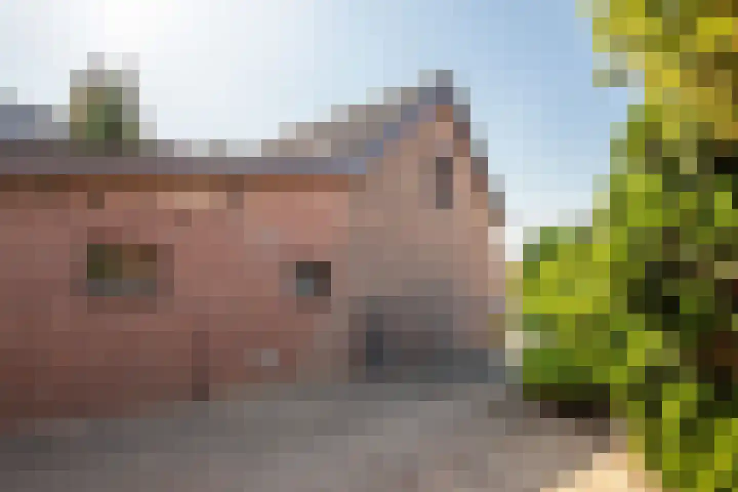 Hoogveldsweg 30 Echt thumbnail 24