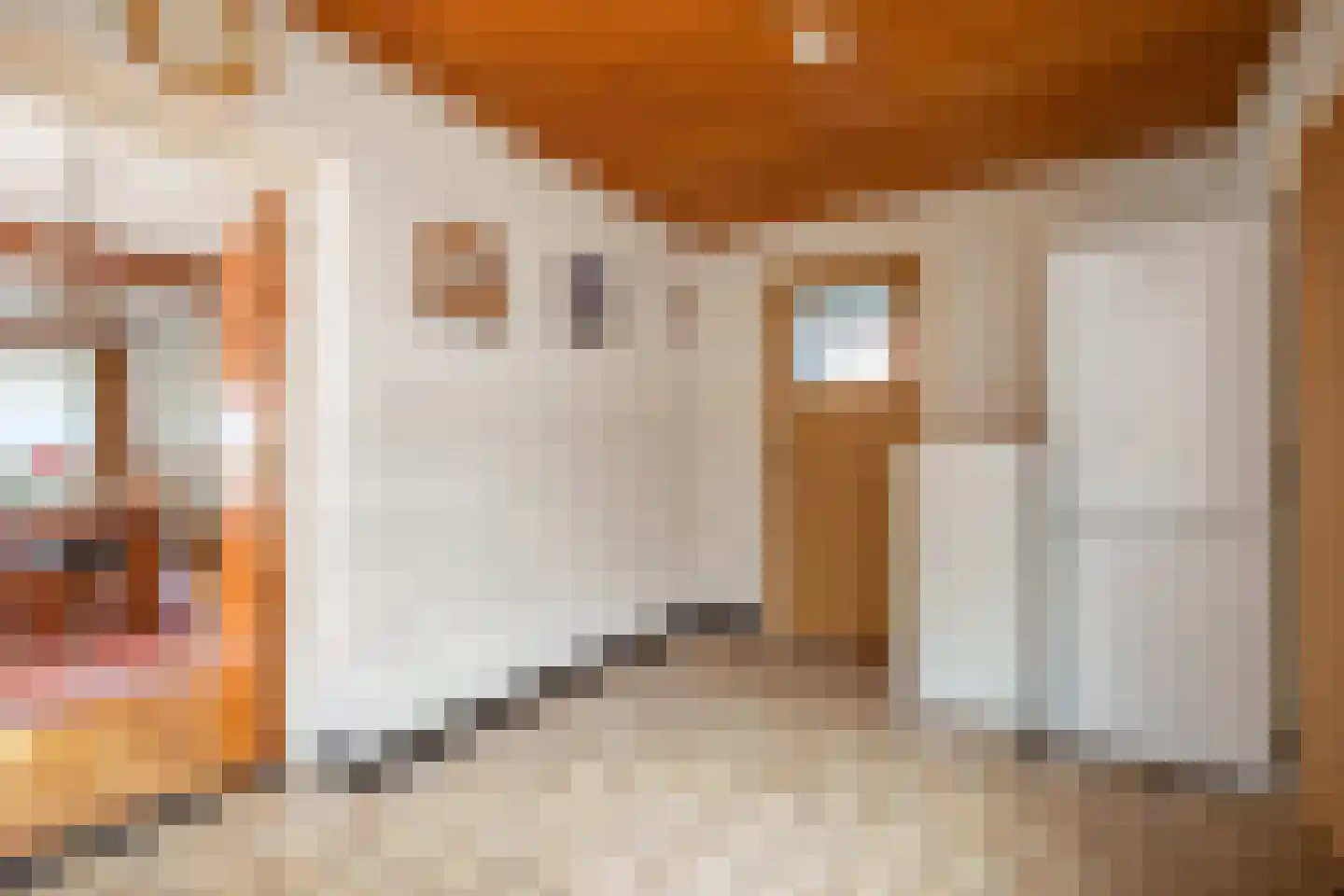 Hoogveldsweg 30 Echt thumbnail 6