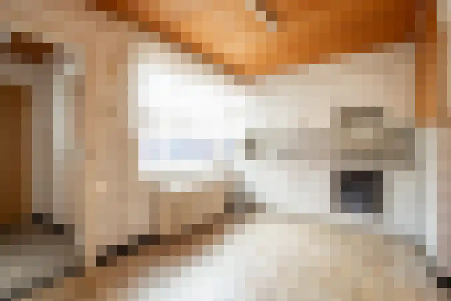 Hoogveldsweg 30 Echt thumbnail 7