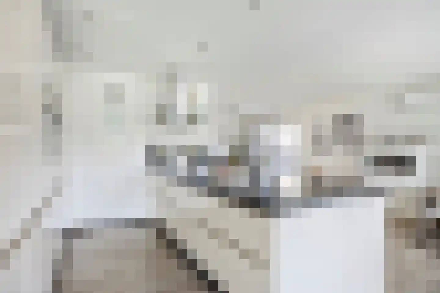 Hoogveldsweg 54 A Echt thumbnail 13