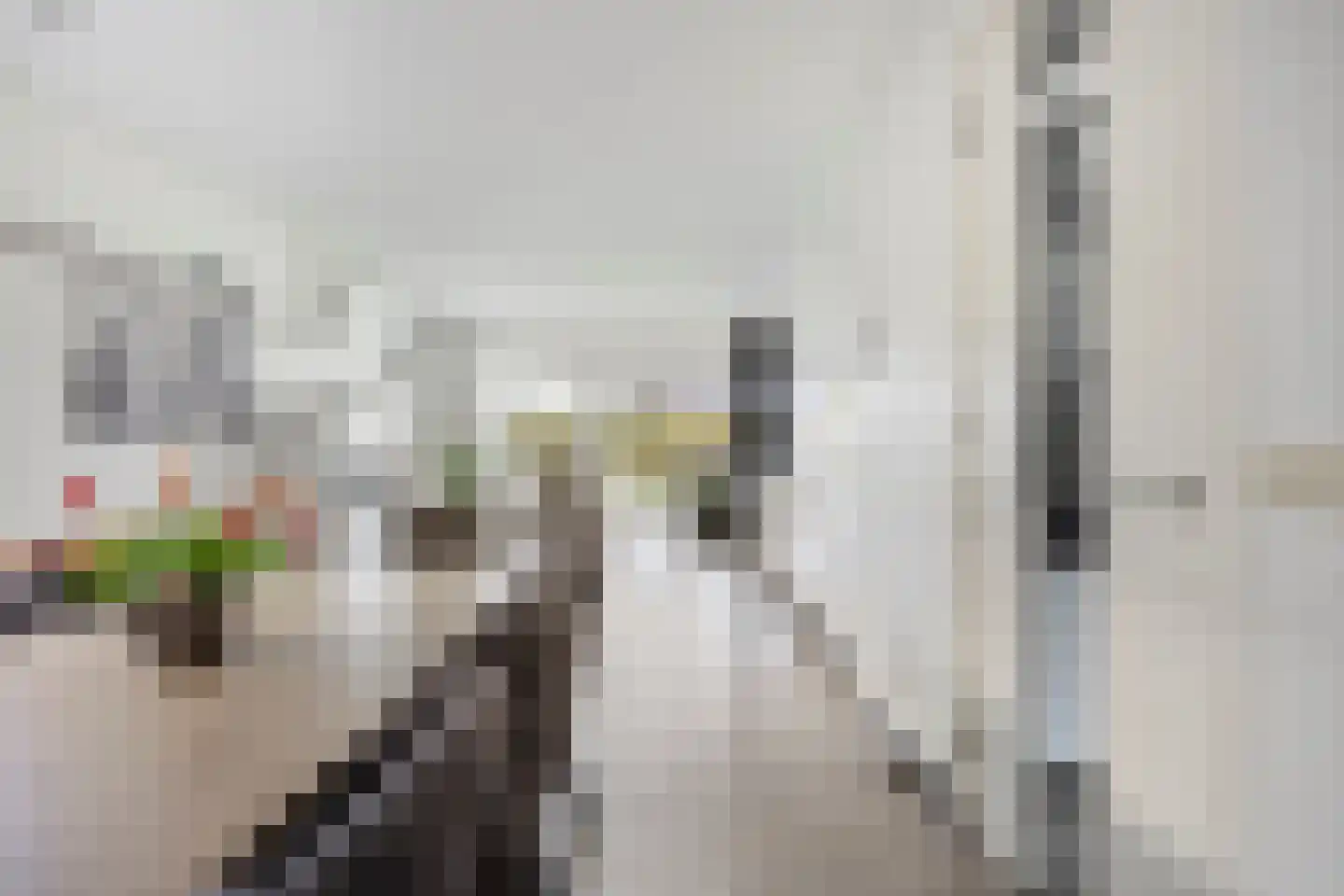 Hoogveldsweg 54 A Echt thumbnail 17